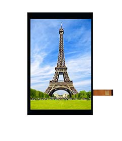 Z90018 высокий интерфейс дисплея TFT 30PIN MIPI дюйма 800*1280 LCD определения 9