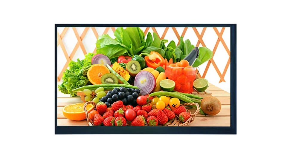 Z10100-P45 10,1 поддержка ХДМИ интерфейса дисплея 1000 нит ЛВДС дюйма 1920*1200 ЛКД