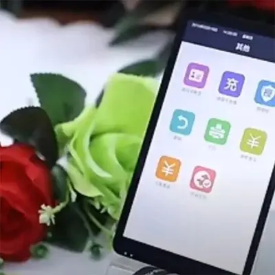 Модуль экранного дисплея касания интерфейса ТФТ ЛКД ИК ИЛИ 2511 МИПИ Нис дюйма 720 С1280 24 ПИН 350 ОДМ 5,5 ОЭМ