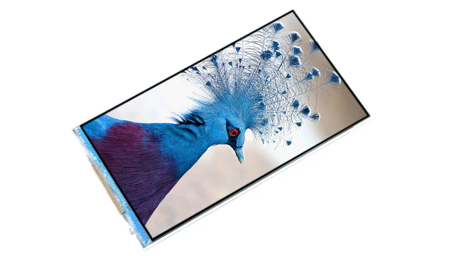 З49399 500 интерфейс РГБ СПИ регулятора экрана дисплея СТ7701С дюйма 480*854 ТФТ нит 5