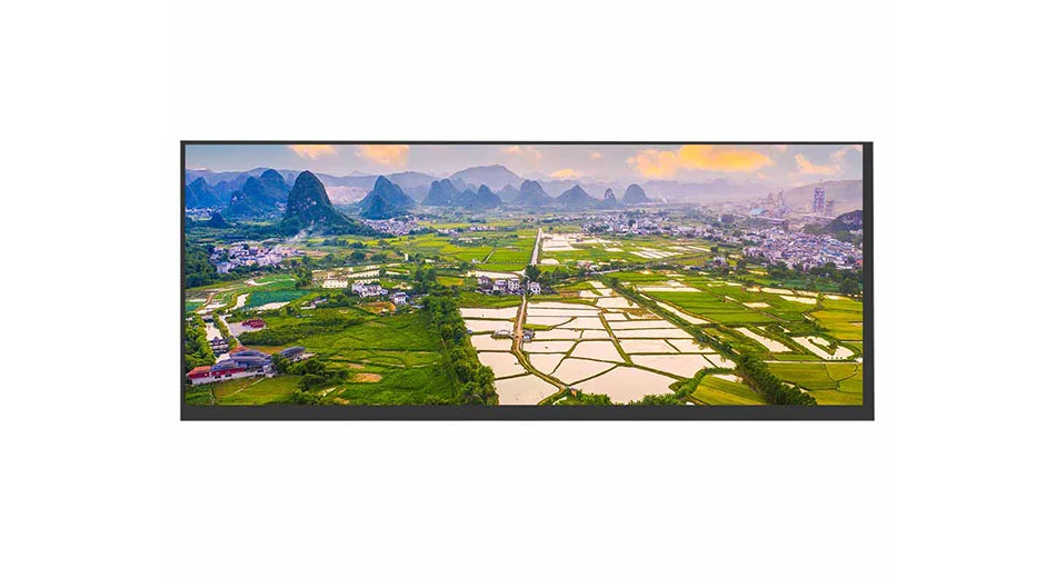 З123003 12,3 взгляд дисплея 1920*720 50 ПИН ЛВДС 400нит дюйма ТФТ ЛКД полно-