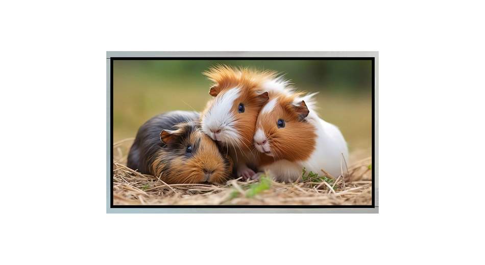 З215001 быстрый ход ТФТ ЛКД интерфейса экрана 1920 кс1080 монитора 21,5 дюймов ЛВДС